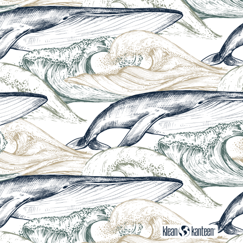 20oz-tkwide-with-twist-cap-ocean-day-q6 20oz_tkwide_bottle_seasonal_ocean_day_whale_artwork_square.png