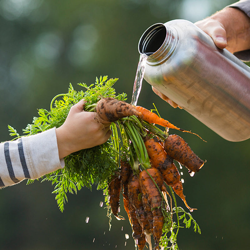 64oz-wide-with-loop-cap-g5 64oz_wide_mouth_bottle_carrots_rinse_square.jpg