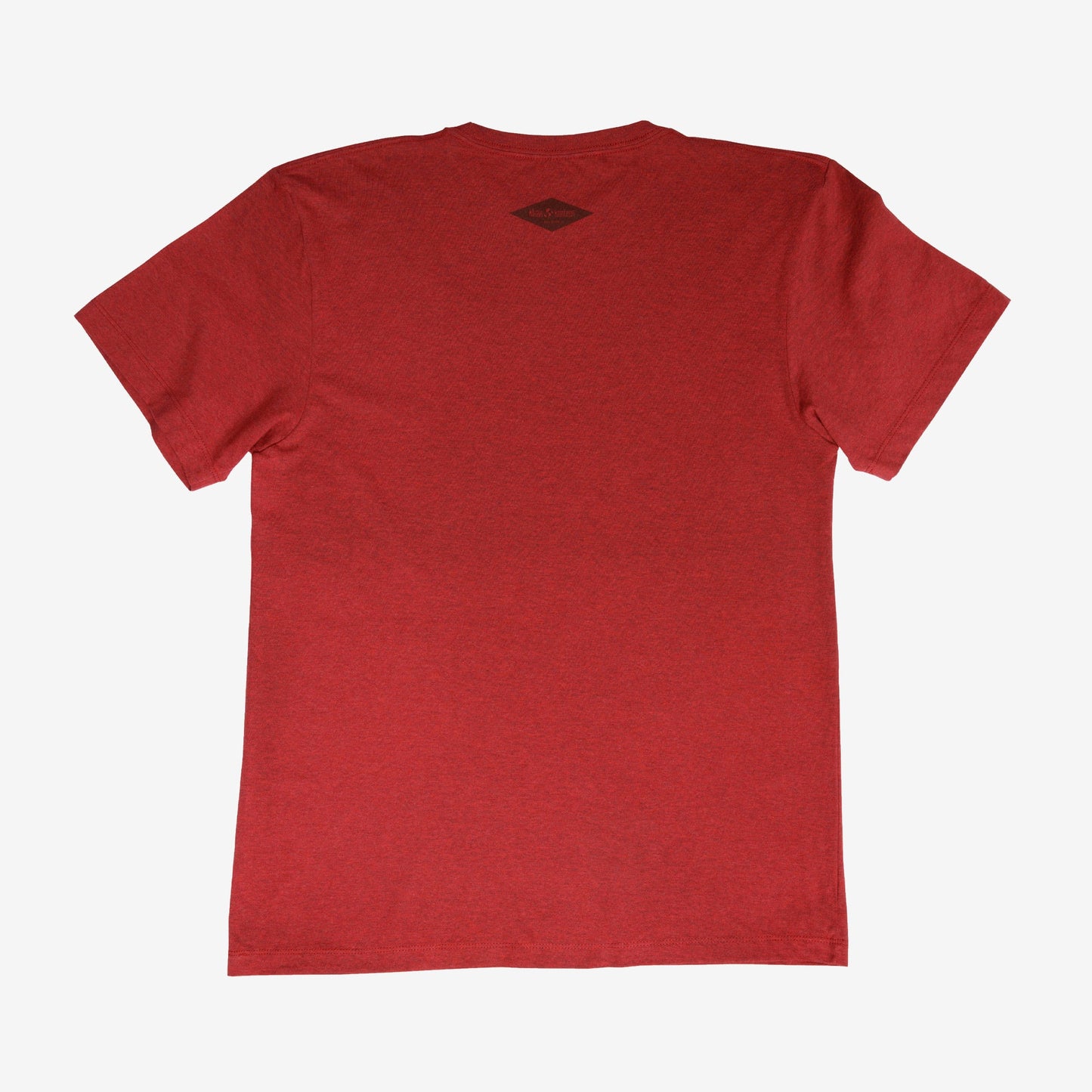 backyard-t-shirt-a3 Shirt_Mtn_Back.jpg